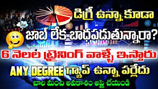 6 నెలల ట్రైనింగ్ వాల్లే ఇస్తారు డిగ్రీ ఉంటే చాలు  How to Get Job Easily in 2024 Telugu [upl. by Soilisav582]