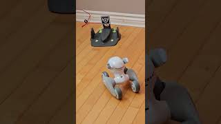 Loona pet robot auto recharge [upl. by Nyret965]