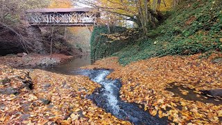 Rahatlatıcı şelale sesi  Relaxing waterfall sound [upl. by Tillion998]