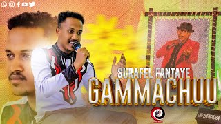 Surafele Fantaye Live Performance Gammachuu New Oromo Music 2024 [upl. by Retxed]