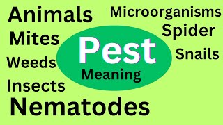 Meaning of pest  Agricultural pest [upl. by Persis]