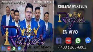 Los Reyes de tierra mixteca 👑 2018 chilena mixteca en vivo [upl. by Marb]