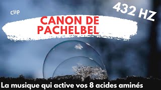 Video canon pachelbel 432 hertz 8 acides aminés musique de guérison [upl. by Adnale]