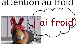 ♥10 conseils pour éviter le froid à son rongeur ♥ [upl. by Coral]