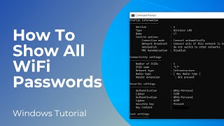 How To Show All WiFi Passwords in 1 Minute Easy and Free [upl. by Boothe]