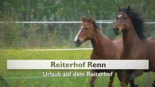 Reiten in Rheinland Pfalz Ferienwohnung Limburg an der Lahn Reiterhof Renn [upl. by Magner]