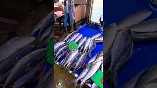 Pasar ikan Kota Kinabalu Sabah youtubereniechannel sabahan malaysia blogger [upl. by Suollecram270]