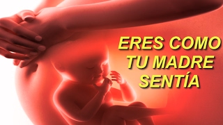 EJERCICIO SANACIÓN EMOCIONAL El inconsciente de tu MADRE te programó en su vientre [upl. by Yhtorod]