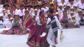 Jarabe Mixteco Guelaguetza [upl. by Dietsche]