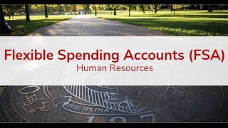 Flexible Spending Accounts [upl. by Trenton609]