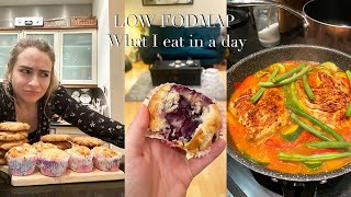 WHAT I EAT IN A DAY ON LOW FODMAP Elimination [upl. by Kciremed844]