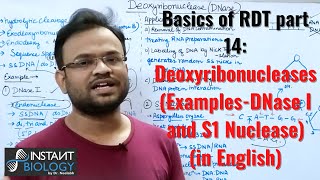 Basics of RDT part 14 Deoxyribonucleases ExamplesDNase I and S1 Nuclease [upl. by Nylikcaj466]