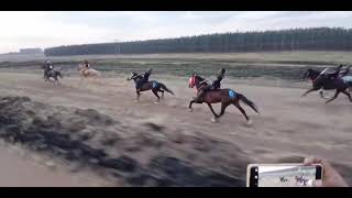 Mpumalanga Daggakraal Grade 1 08092024 traditionalhorseracing horse horseracing horseriding [upl. by Hole]