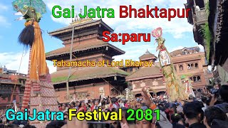 Gai Jatra  Gai Jatra Bhaktapur  Saparu  Gaijatra Festival  Gai Jatra 2081  BhaktapurTravel [upl. by Doroteya751]