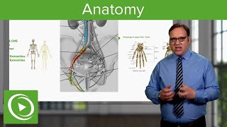 How to Master Human Anatomy 🧠📚 – Course Preview  Lecturio [upl. by Hsital]