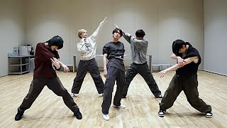 TXT  Tinnitus Dance Practice Mirrored [upl. by Hanae120]