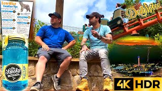 America’s SOUTHERN Theme Park Dollywood 4K HDR VLOG [upl. by Ymled8]