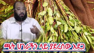 ጫት ሀገራችን ላይ ያደረሰው አደጋ  ኡስታዝ ሳዳት ከማል  Amharic dawa  ustaz sadat kemal new  August 19 2024 [upl. by Idonah]