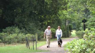 Kasteel Twickel Delden op 01082010 [upl. by Fox942]