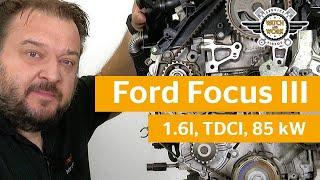 Watch and Work Tutorial Distributieriem vervangen Ford Focus III 16l TDCi 85kW [upl. by Olwen448]