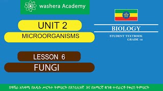 BIOLOGY GRADE 12 UNIT 2 LESSON 6 FUNGI [upl. by Dickman738]