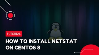 How to install Netstat on CentOS 8  VPS Tutorial [upl. by Driscoll380]