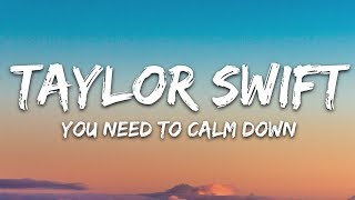 Taylor Swift  You Need To Calm Down Lyrics [upl. by Fante]