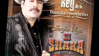 sergio vega  el coco [upl. by Accemahs202]