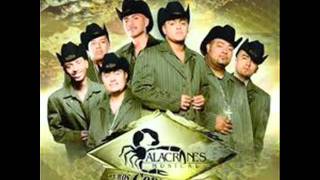 alacranes musical moviditas buenas [upl. by Edniya]