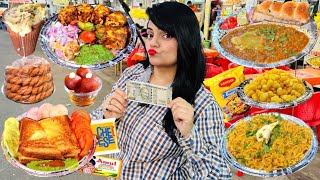 Rs 500 Street Food Challenge  Udaipur Food Challenge [upl. by Rehpotsirhc]