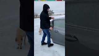 This is how people live in cold areas 🤠🤯 trendingshorts facts shortvideo virslshorts [upl. by Rosalynd15]