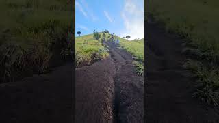 Sabana Gunung Merbabu via suwanting wajib coba jalur ini pendaki pendakigunung pendakiindonesia [upl. by Naillil]