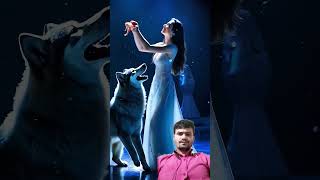 A woman fuses with a wolf on AGTagt americasgottalent magic [upl. by Mohorva]