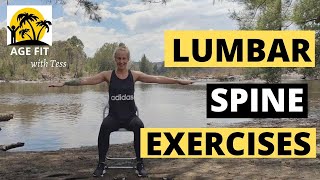 Lumbar Spondylosis Exercises [upl. by Ahsenor]