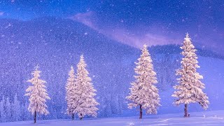 Beautiful Christmas Music Peaceful Piano Christmas Music quotChristmas Winter Woodsquot by Tim Janis [upl. by Davies993]