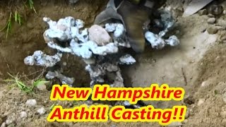 Ant Hill Casting with Molten Aluminum [upl. by Walton]