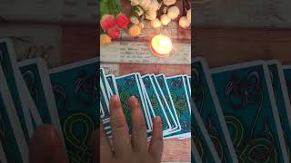 Dont Skip 🦋tarotcards astrology love manifest soulmate twinflame zodiac fyp usa youtube [upl. by Hanikahs918]