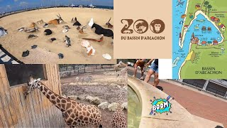 🏙️🙈 Visite d Arcachon le zoo la plage la ville [upl. by Iago]