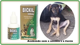 ACABANDO A ANEMIA COM BIOXIL e SULFATO FERROSO [upl. by Maclay]