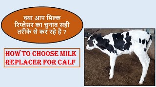 क्या आप मिल्क रिप्लेसर का चुनाव सही तरीके से कर रहे है How To Choose Milk Replacer For Calf shorts [upl. by Anirbaz507]