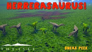 HERRERASAURUS  The Isle Herra Gameplay  Biggest Herrerasaurus Pack EVER  Sneak Peek [upl. by Fidelia530]