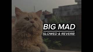 BIG MAD SLOWED amp REVERB Tarna Byg ByrdBlamo JyoyhiTatter UR Music [upl. by Dwaine]