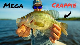 Crappie Fishing Lake Okeechobee featLandshark Outdoors [upl. by Aihsenet]