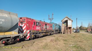 Ferroexpreso Pampeano en Bolivar 27Jul24 [upl. by Adela]