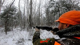 The Best Day of Deer Tracking  2022 [upl. by Child]