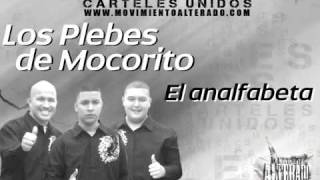 Los Plebes De Mocorito  El Analfabeta Audio Oficial [upl. by Narcis]