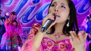 ELIANA De Los Andes  MegaMix Exitos En Vivo  DVD Completo [upl. by Nrevel]