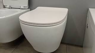 ArtCeram TEN TEV006 05 white matt WALL WC TEA005 05 SEAT [upl. by Einnoc519]