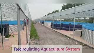 Aquaculture System tank Fish Farming Tank [upl. by Nythsa521]