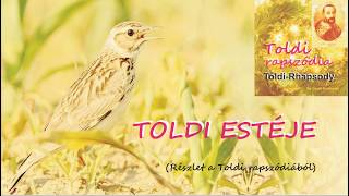 TOLDI RAPSZÓDIA RÉSZLET III ‒ TOLDI ESTÉJE [upl. by Anastasio]